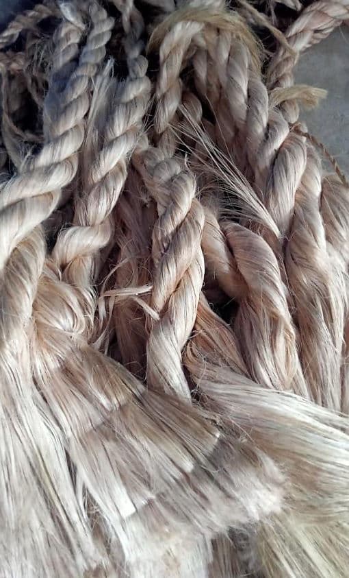 Abaca Fiber