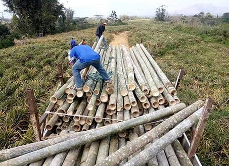 Ethical Sourcing Principles